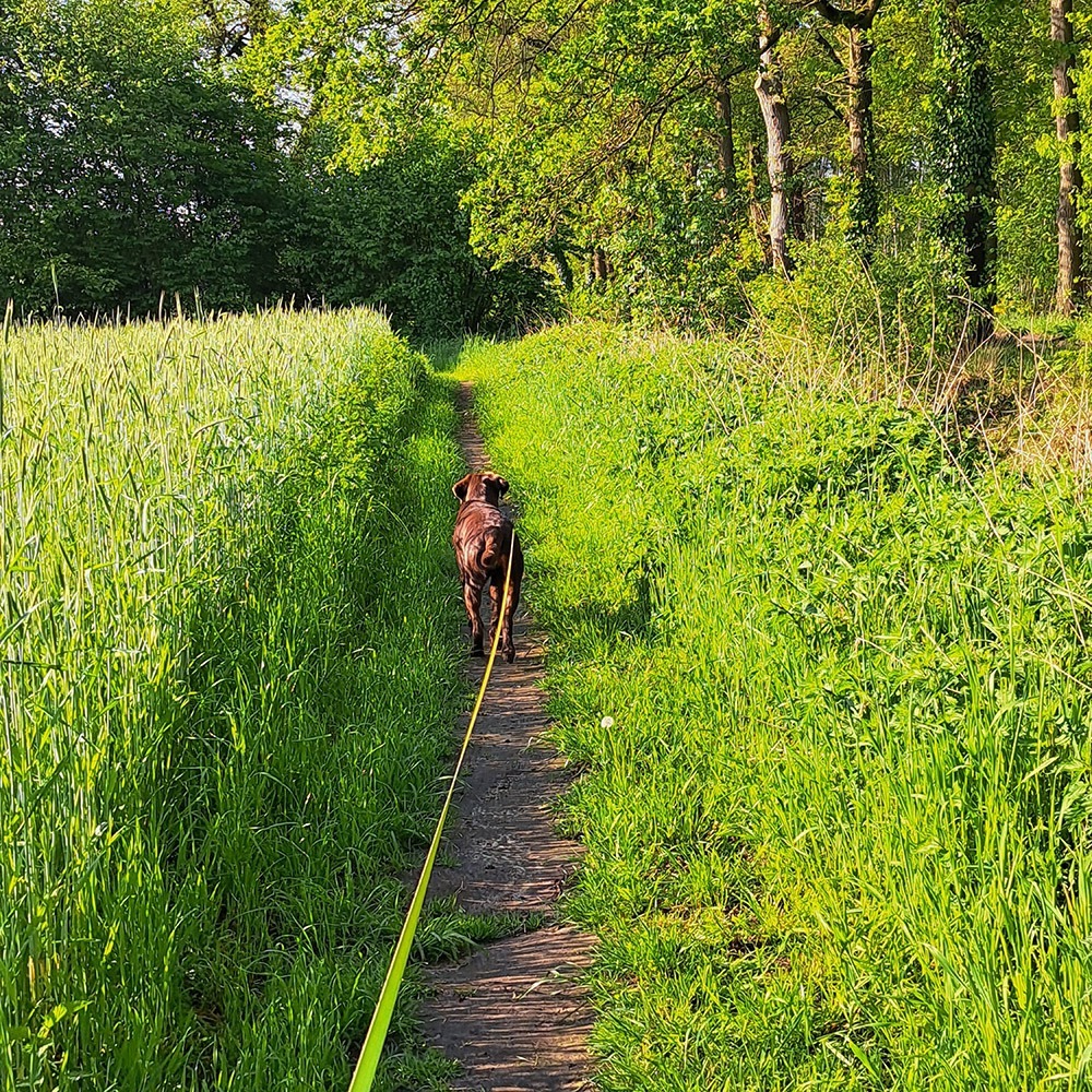 Wandelen in de Achterhoek